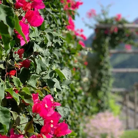 Casa vacanze Gelsomina *